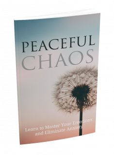 Peaceful Chaos ebook