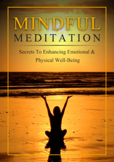 Mindful Meditation Mastery ebook